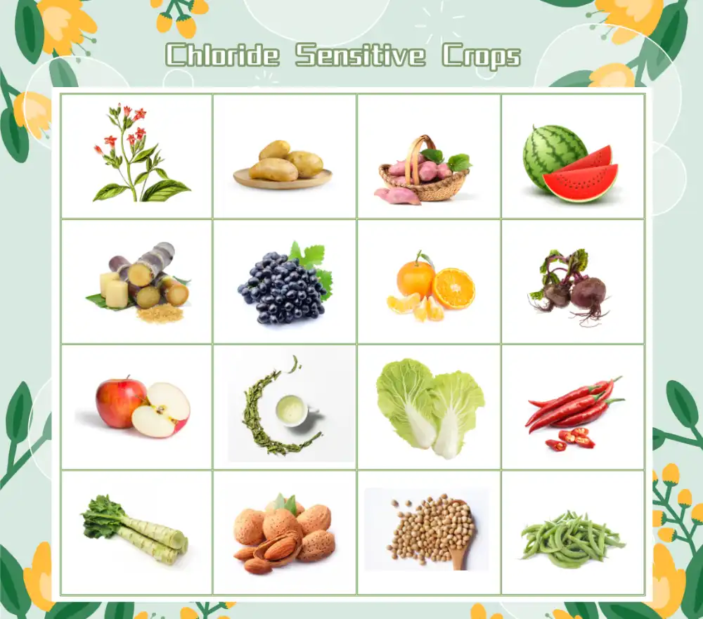 product-1-1 product-1-1