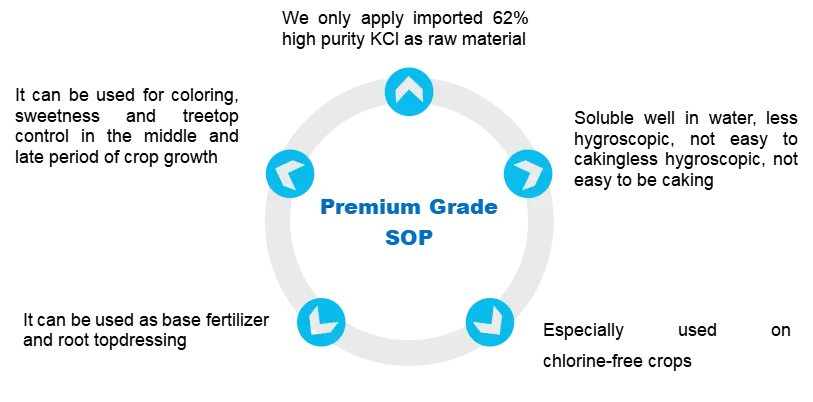 product-1-1 product-1-1