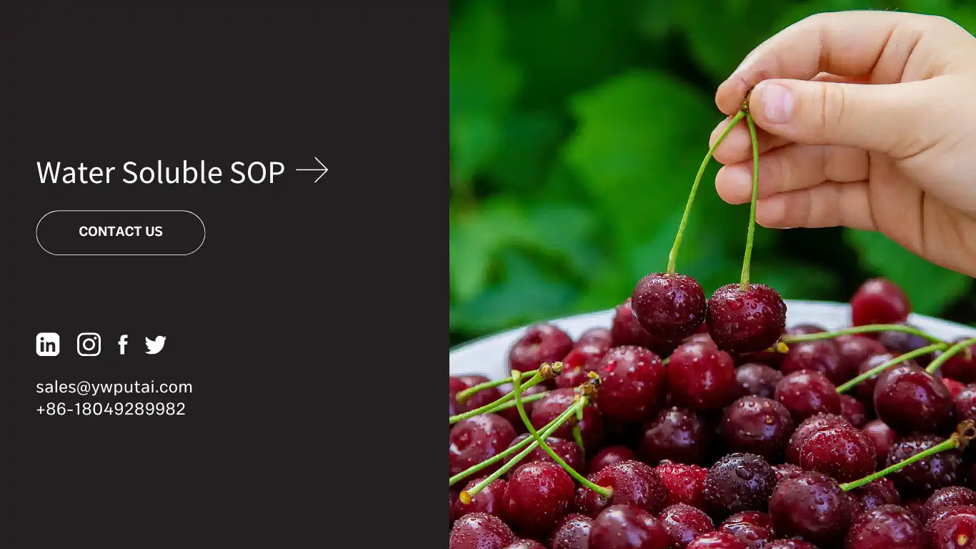 Water Soluble SOP Water Soluble SOP