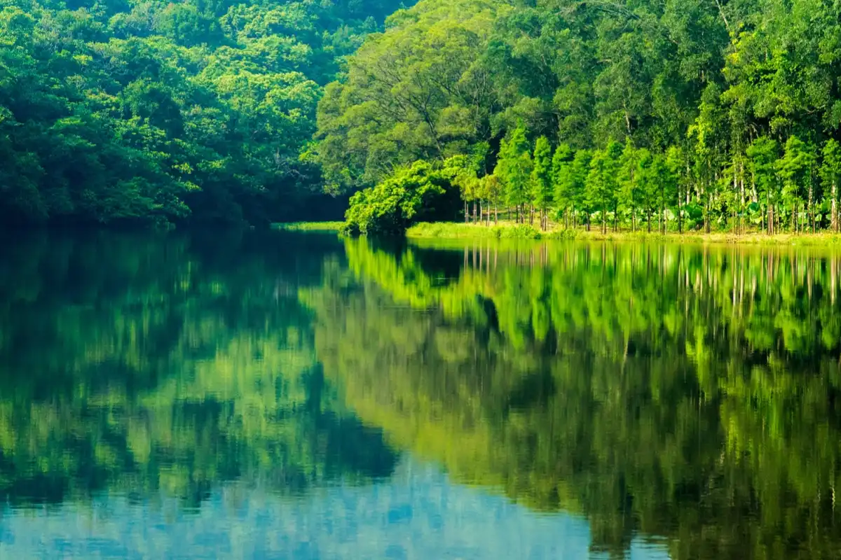 How is CAS 1327-41-9 Different from Aluminum Sulfate in Water Purification?