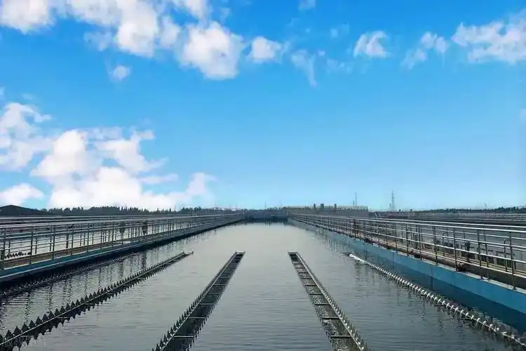 What is PAC Powder Used for in Water Treatment?