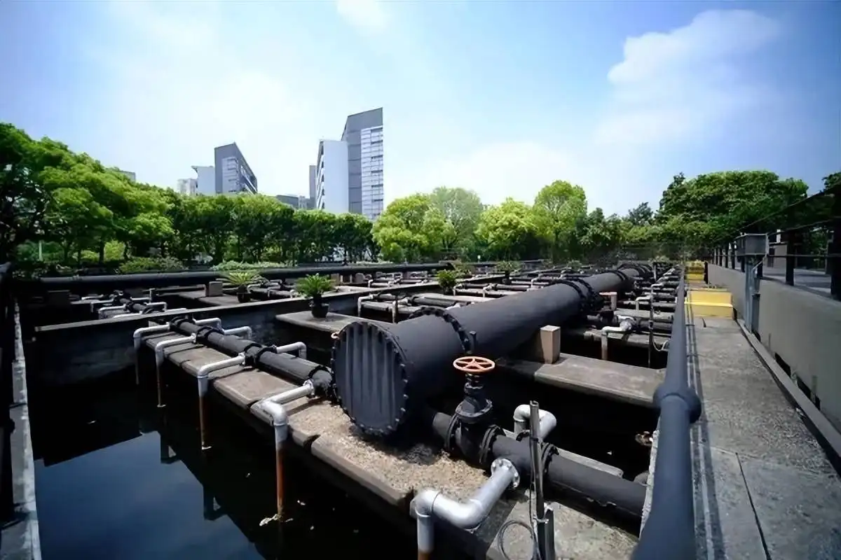 How Does PAC Powder Help in Water Purification?