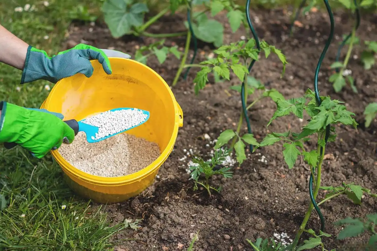 Can Potassium Sulfate be Used for All Types of Plants?