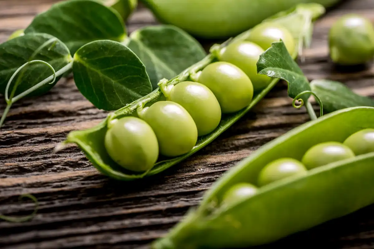 What Crops Can Benefit from Potassium Sulfate Fertilizer 0-0-53?