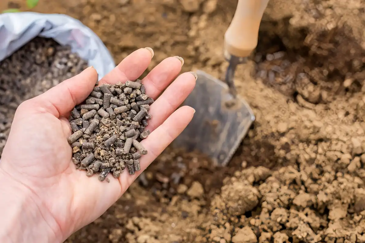 Can Solid Potassium Sulfate Fertilizer Be Used in Organic Farming？