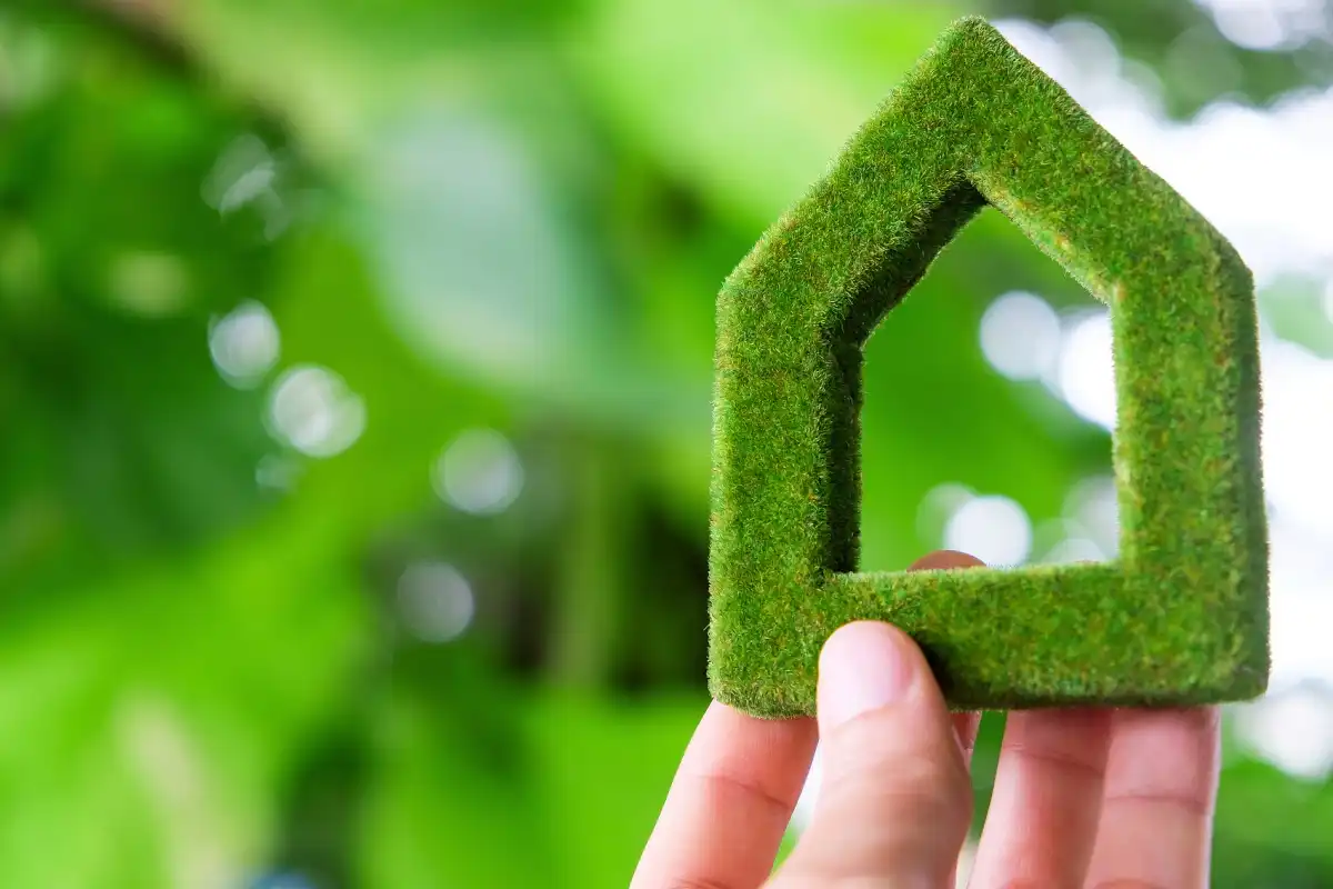 What are the Benefits of Using Potassium Magnesium Sulfate Fertilizer?