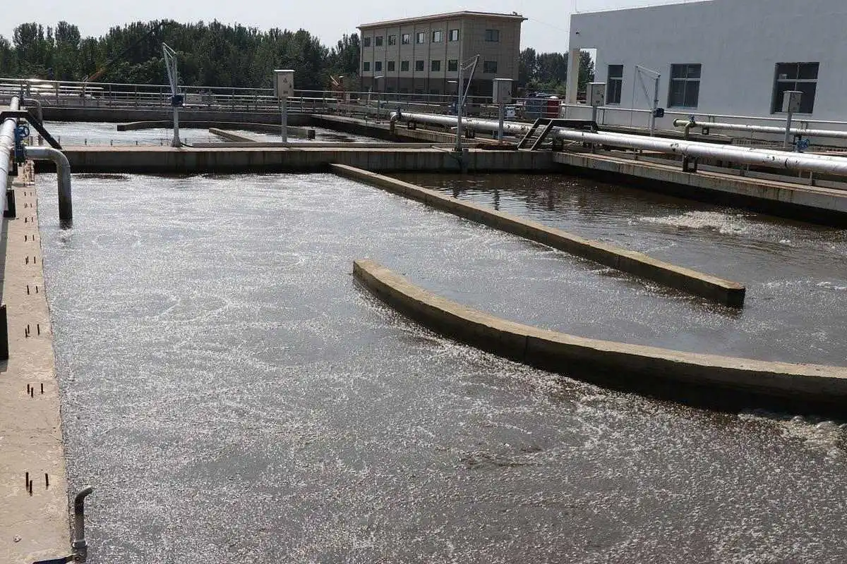 How do Sewage Treatment Flocculants help in reducing sludge volume?