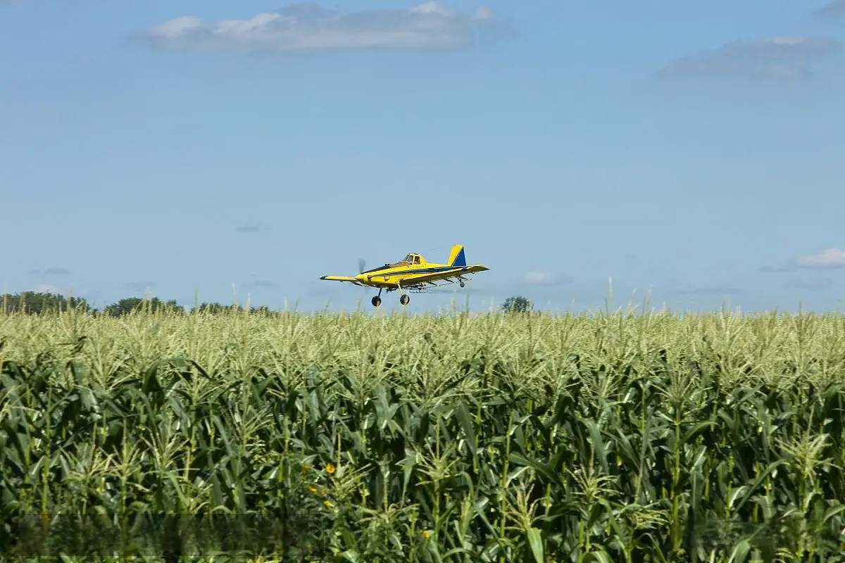 Is Water Soluble SOP Good for Soil Health?
