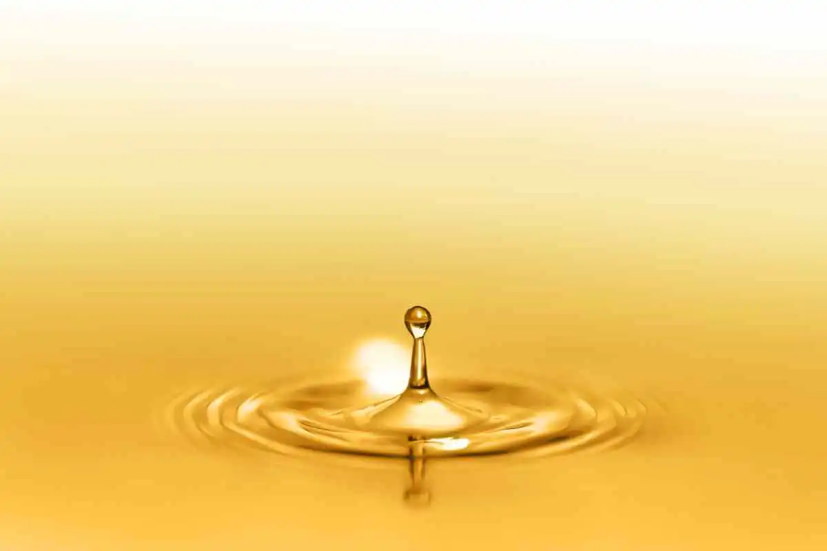 Environmental Effects and Management of Liquid Polyaluminum Chloride in Water Treatment